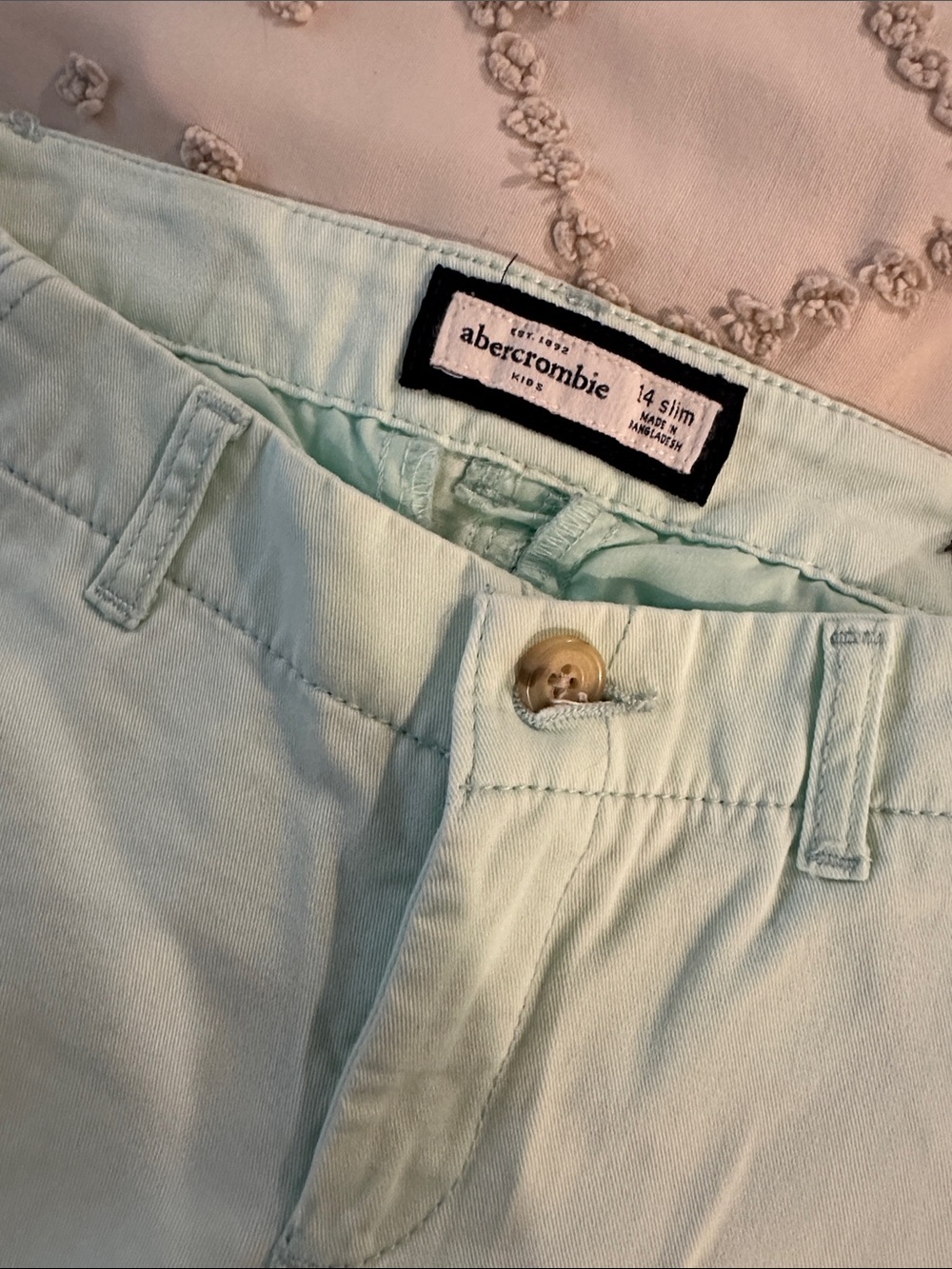 Banana Republic Light Mint Chino Pants